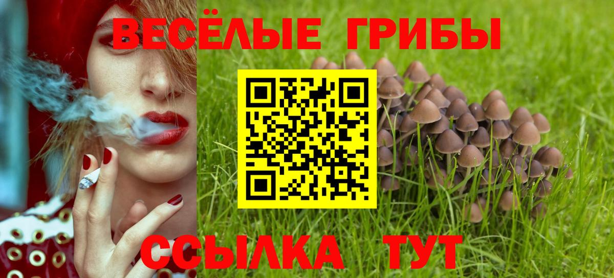 Псилоцибиновые грибы Psilocybine cubensis  Вход с VPN  Медногорск  Псилоцибиновые грибы Cubensis 